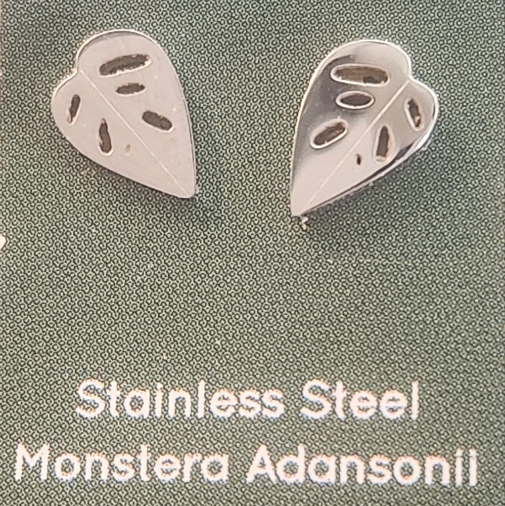 Stainless Steel earrings